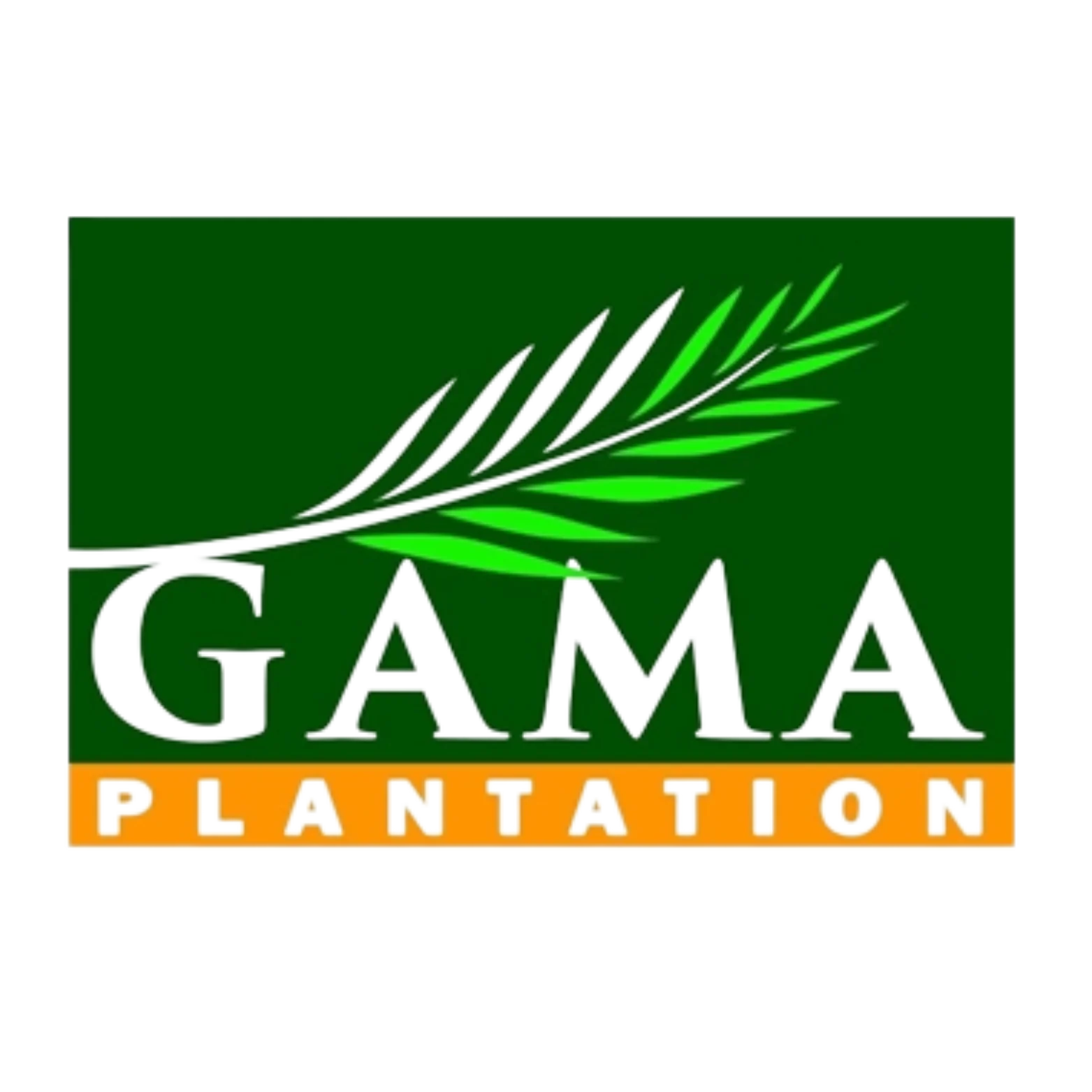 GAMA PLANTATION