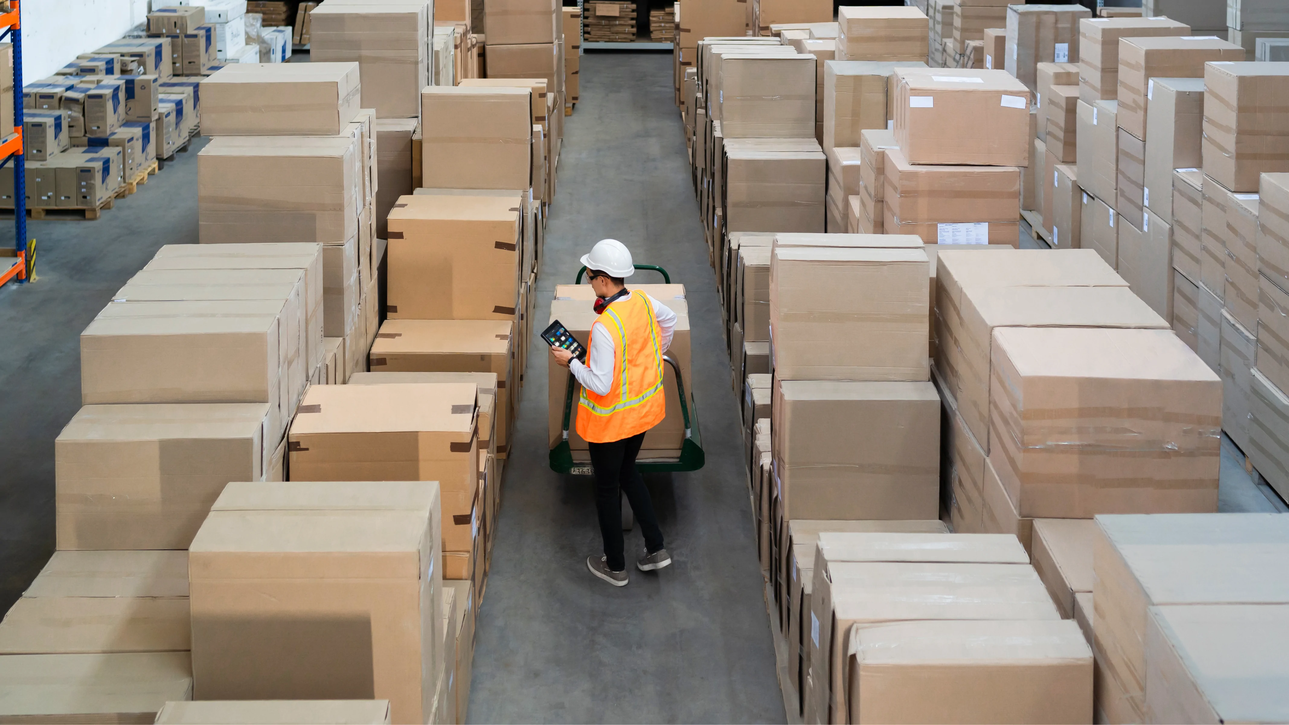 Bukan Cuma Soal Kirim Paket : Kenapa Logistik Adalah Denyut Nadi Kehidupan Kita di Era Sekarang