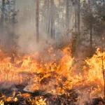 Antisipasi Gangguan Logistik Akibat Karhutla : KLHK & BMKG Siapkan Modifikasi Cuaca Dini di Riau