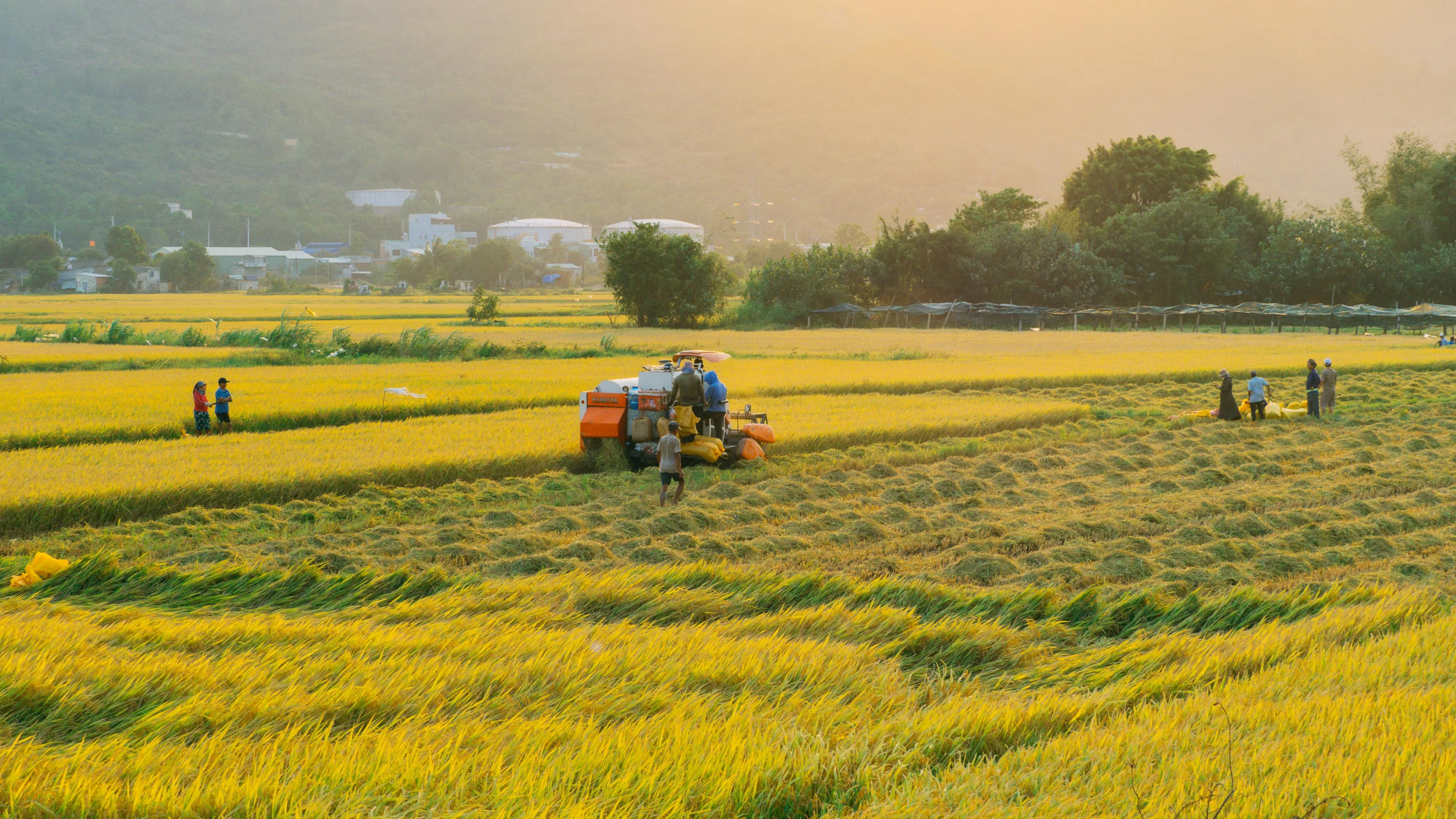 DESIGN WEB (03072025) (20)